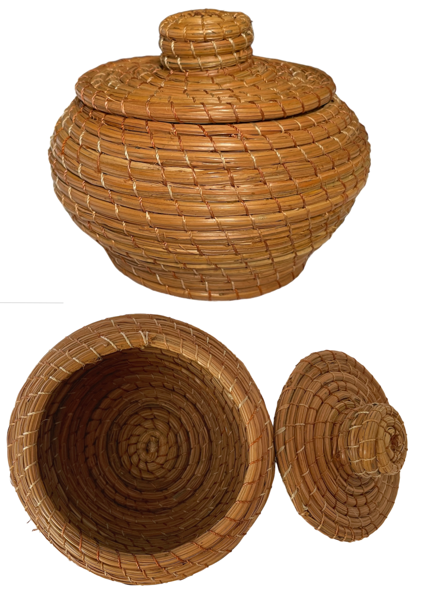 Pot rond Ø12 x H8, simple, aiguilles de pin